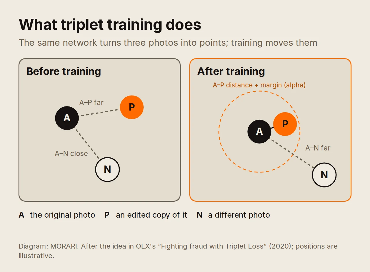 Diagram of triplet training in two panels. Before training, the original photo A, its edited copy P and a different photo N sit at similar distances from each other. After training, A and P sit close together and N is pushed beyond a margin.