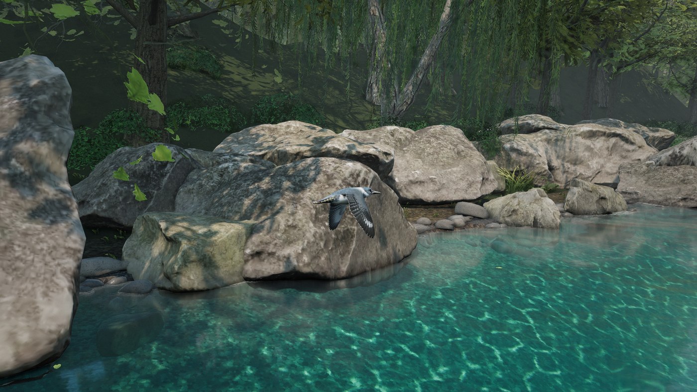 A kingfisher crossing the stream
